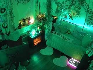 voyeurcam veccasalt 01